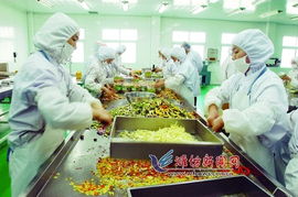 青濰對接 農(nóng)業(yè)合作引領農(nóng)產(chǎn)品生產(chǎn)新飛躍