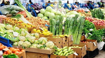 農(nóng)產(chǎn)品價格上漲 成因、影響與未來價格趨勢分析